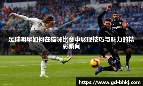 足球明星如何在猫咪比赛中展现技巧与魅力的精彩瞬间